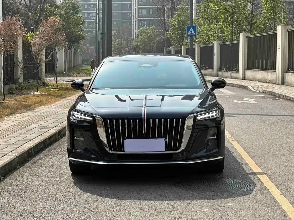 Hongqi H5 2024 из CN, фото 10