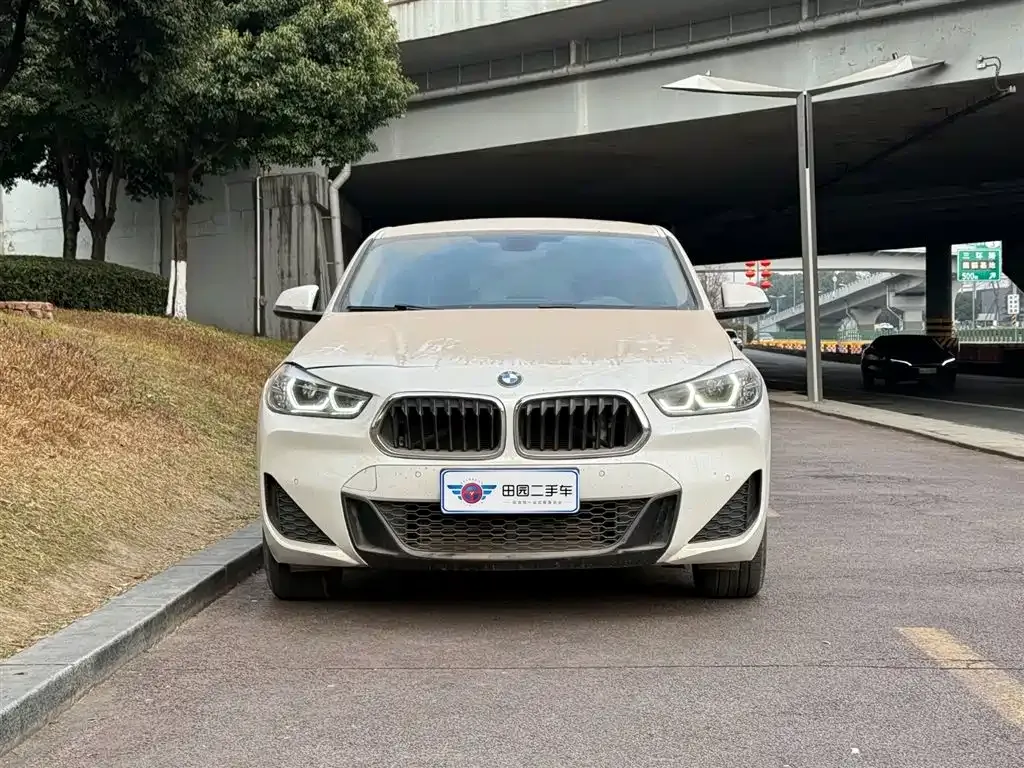BMW X2 2022 из CN, фото 8