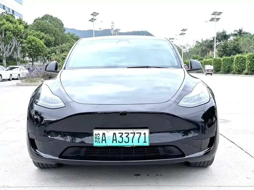 Tesla Model Y 2024 из CN, фото 7