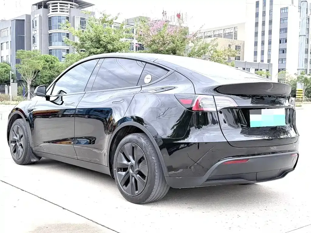 Tesla Model Y 2024 из CN, фото 6