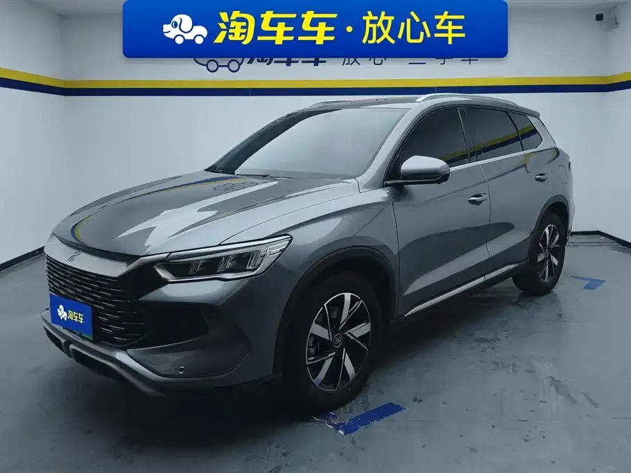 BYD Pro New Energy 2024 из CN, фото 1