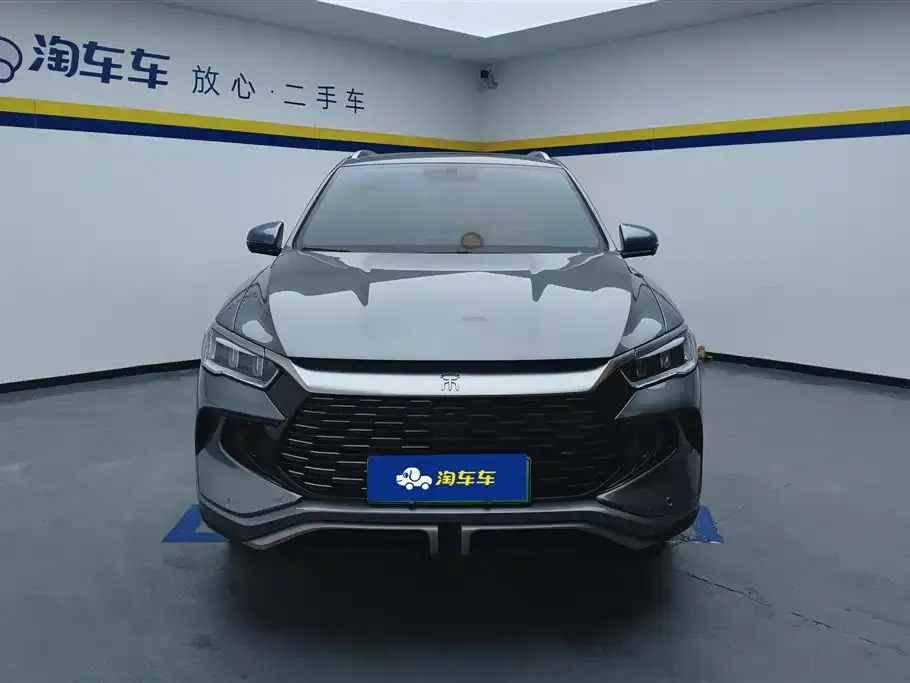 BYD Pro New Energy 2024 из CN, фото 9