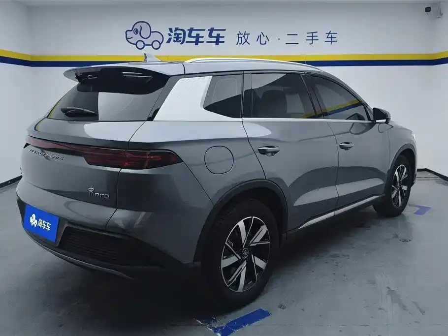 BYD Pro New Energy 2024 из CN, фото 7