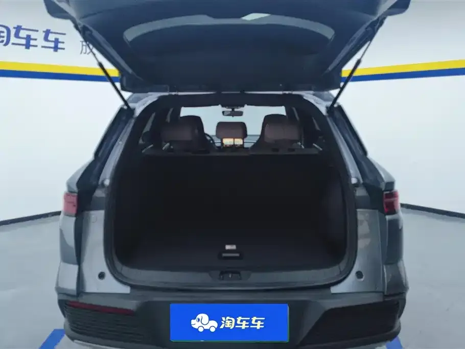 BYD Pro New Energy 2024 из CN, фото 2