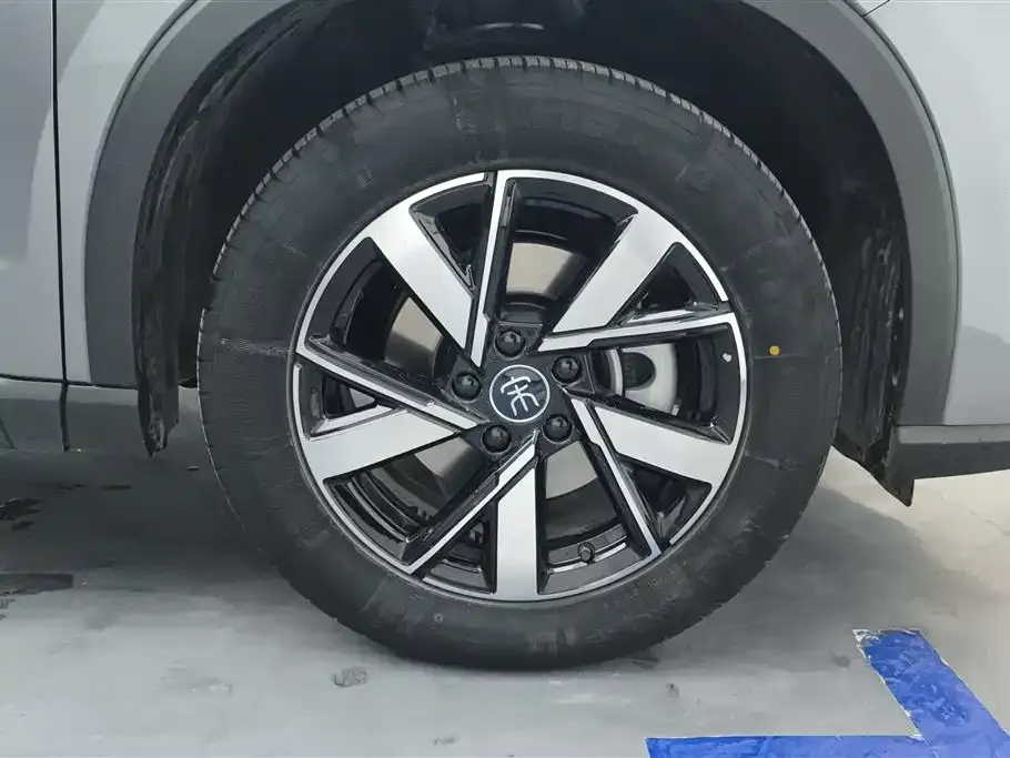 BYD Pro New Energy 2024 из CN, фото 10