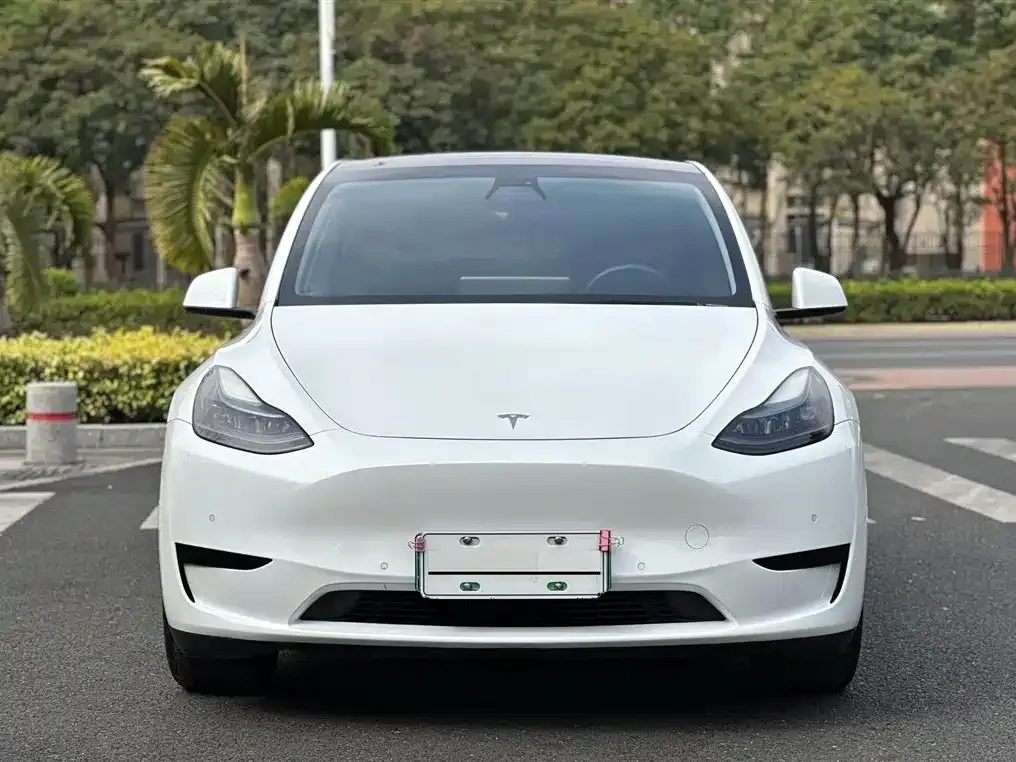 Tesla Model Y 2022 из CN, фото 6