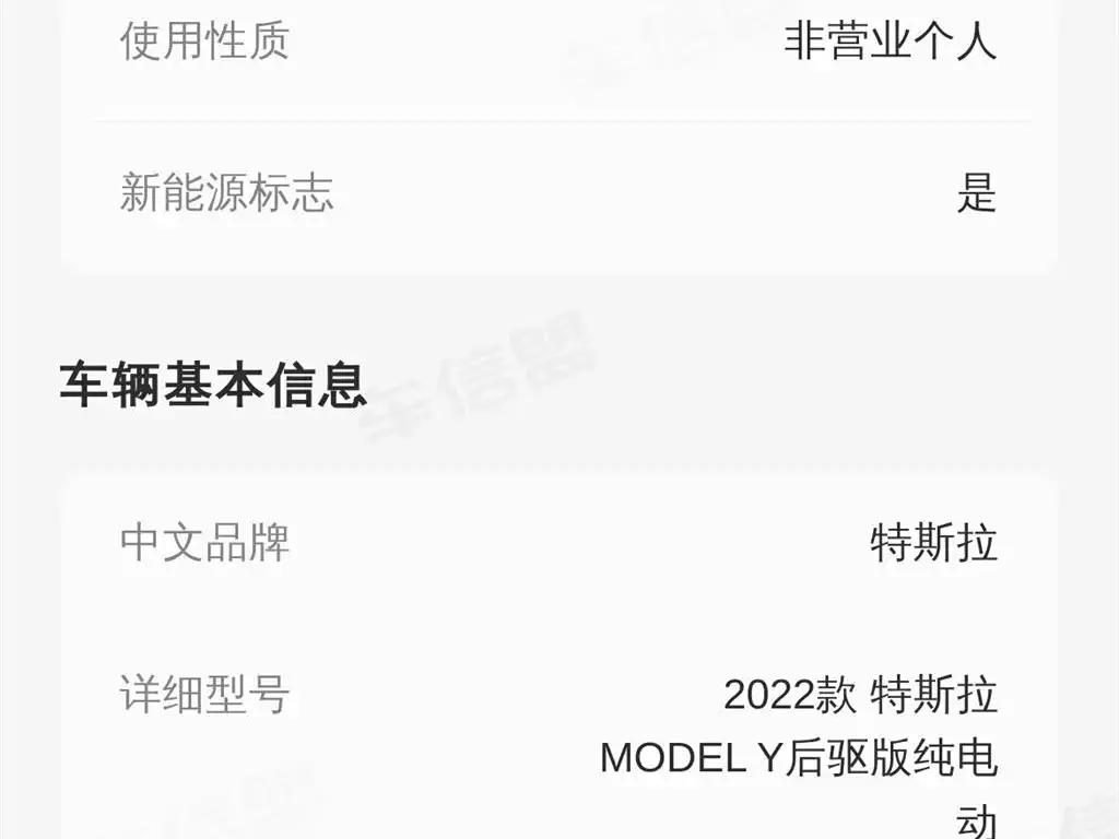 Tesla Model Y 2022 из CN, фото 3
