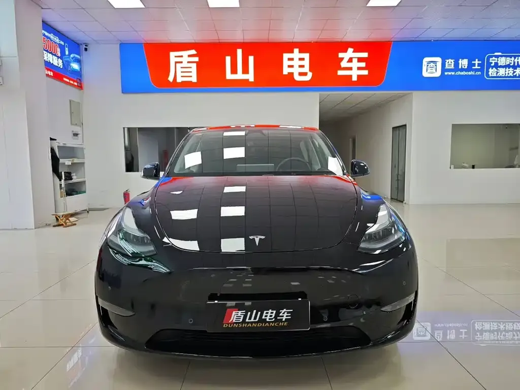 Tesla Model Y 2021 из CN, фото 6