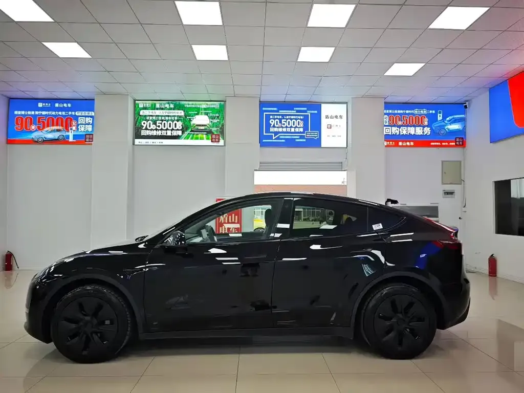 Tesla Model Y 2021 из CN, фото 3