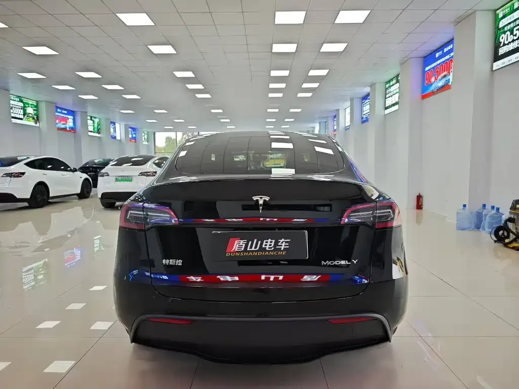 Tesla Model Y 2021 из CN, фото 5