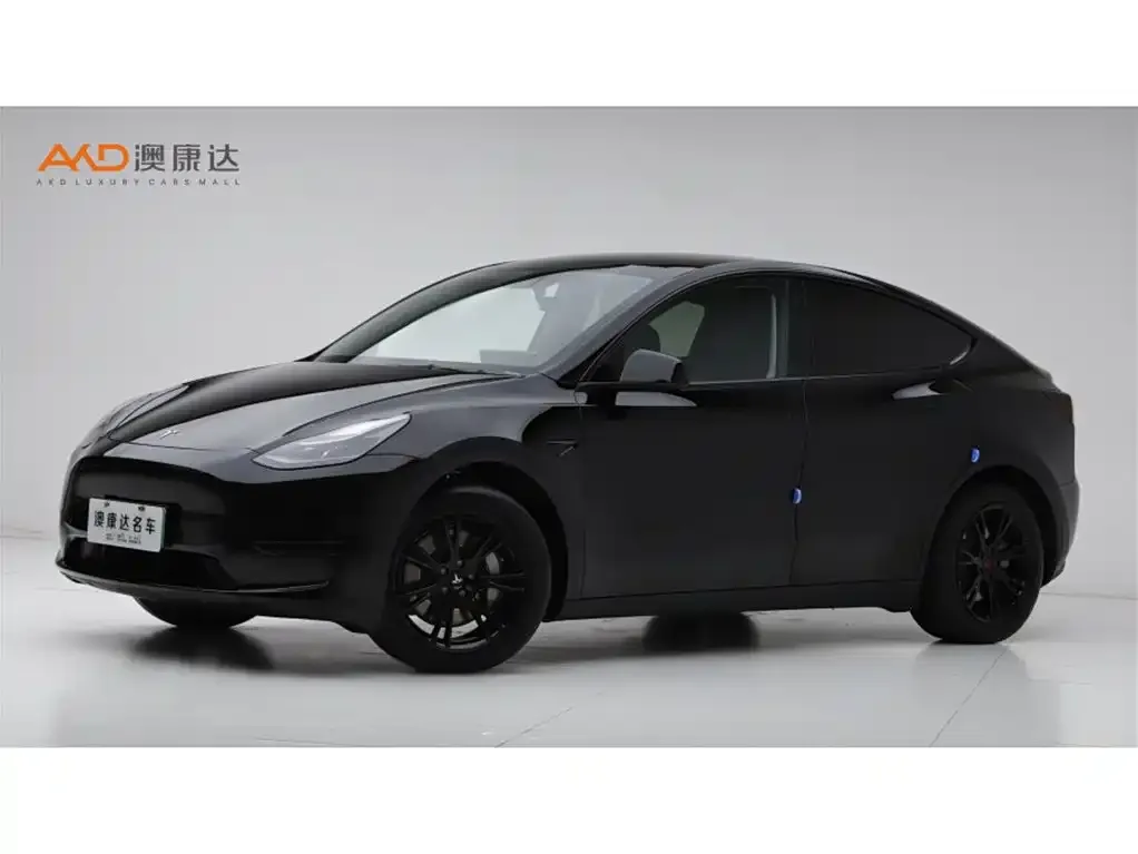 Tesla Model Y 2024 из CN, фото 1