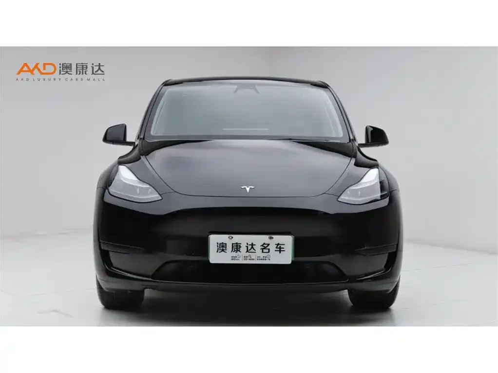 Tesla Model Y 2024 из CN, фото 3