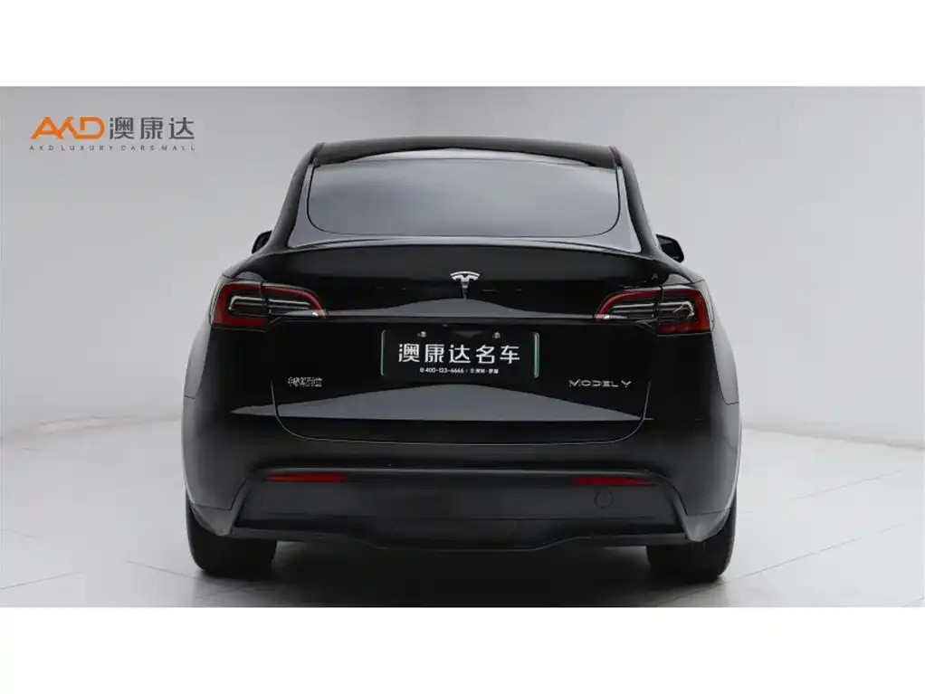 Tesla Model Y 2024 из CN, фото 5