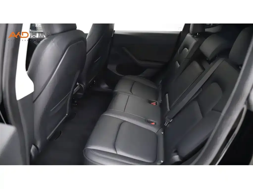 Tesla Model Y 2024 из CN, фото 2