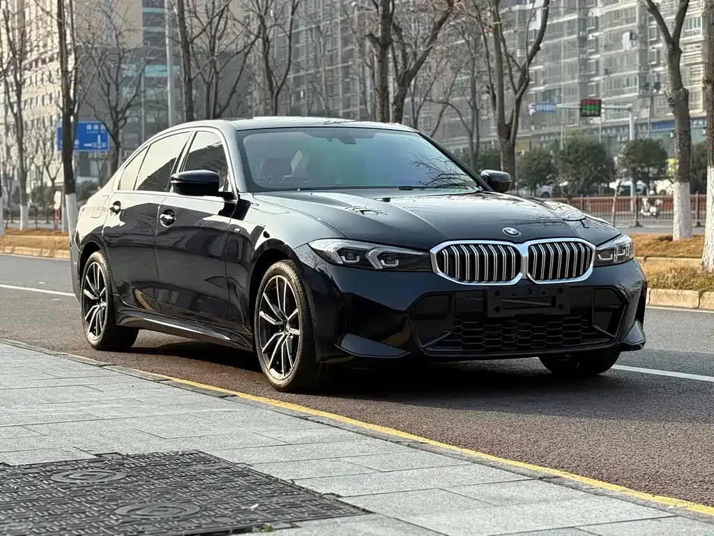 BMW 3 Series 2023 из CN, фото 6