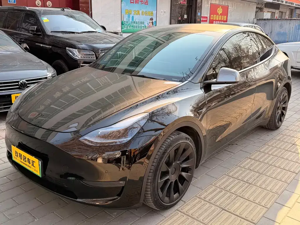Tesla Model Y 2021 из CN, фото 1