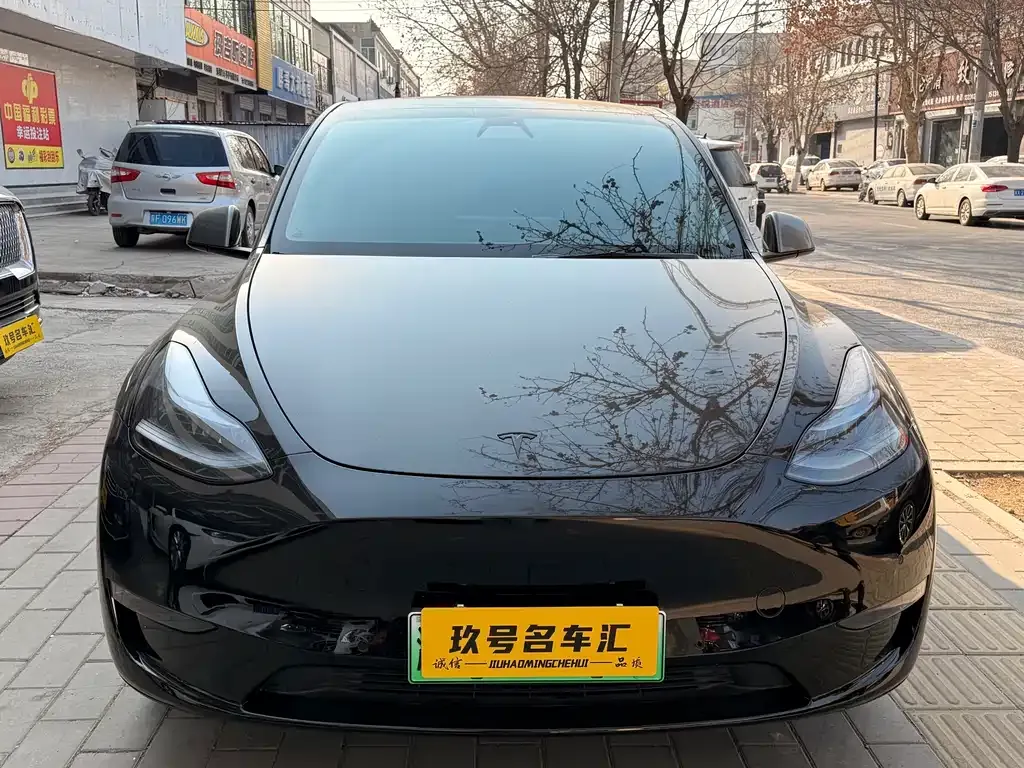 Tesla Model Y 2021 из CN, фото 7