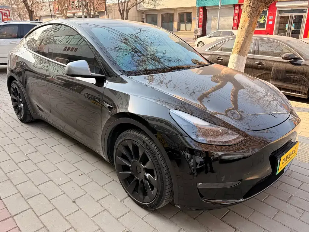 Tesla Model Y 2021 из CN, фото 9