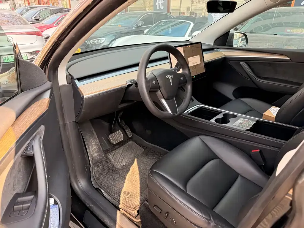 Tesla Model Y 2021 из CN, фото 5