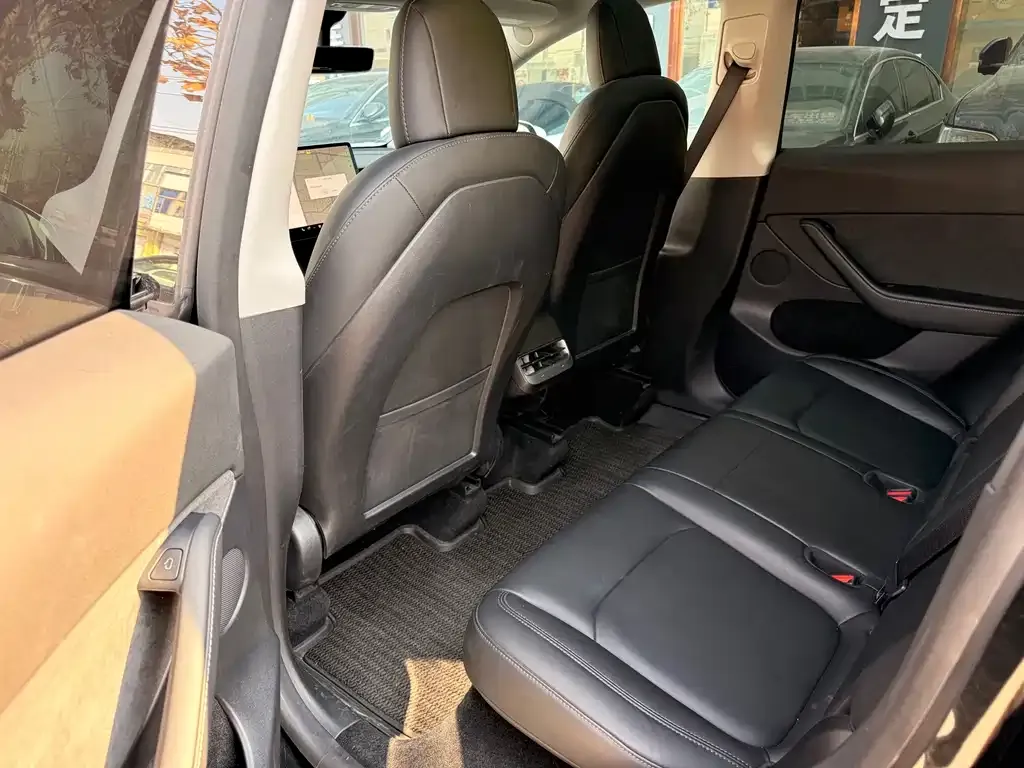 Tesla Model Y 2021 из CN, фото 2