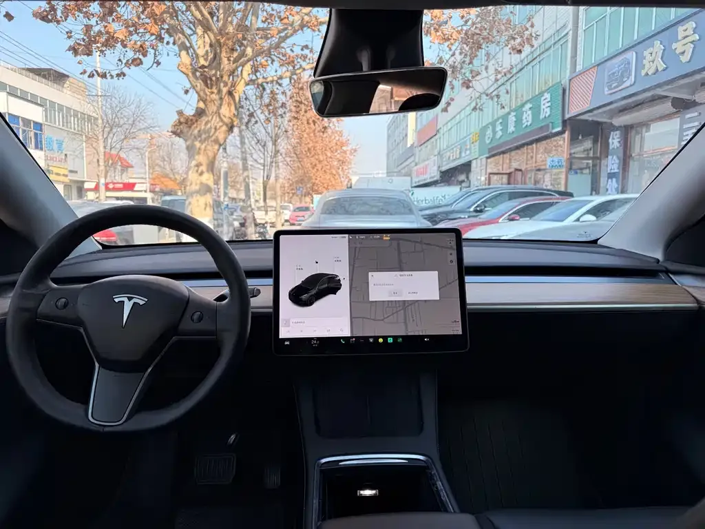 Tesla Model Y 2021 из CN, фото 3