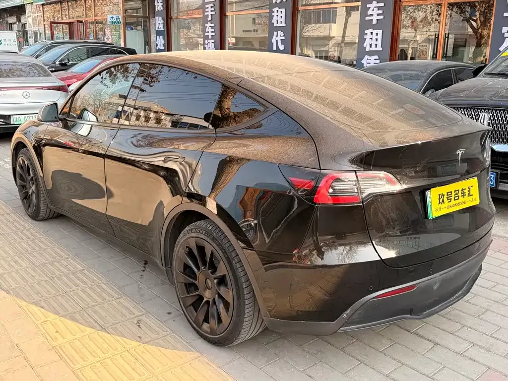 Tesla Model Y 2021 из CN, фото 8