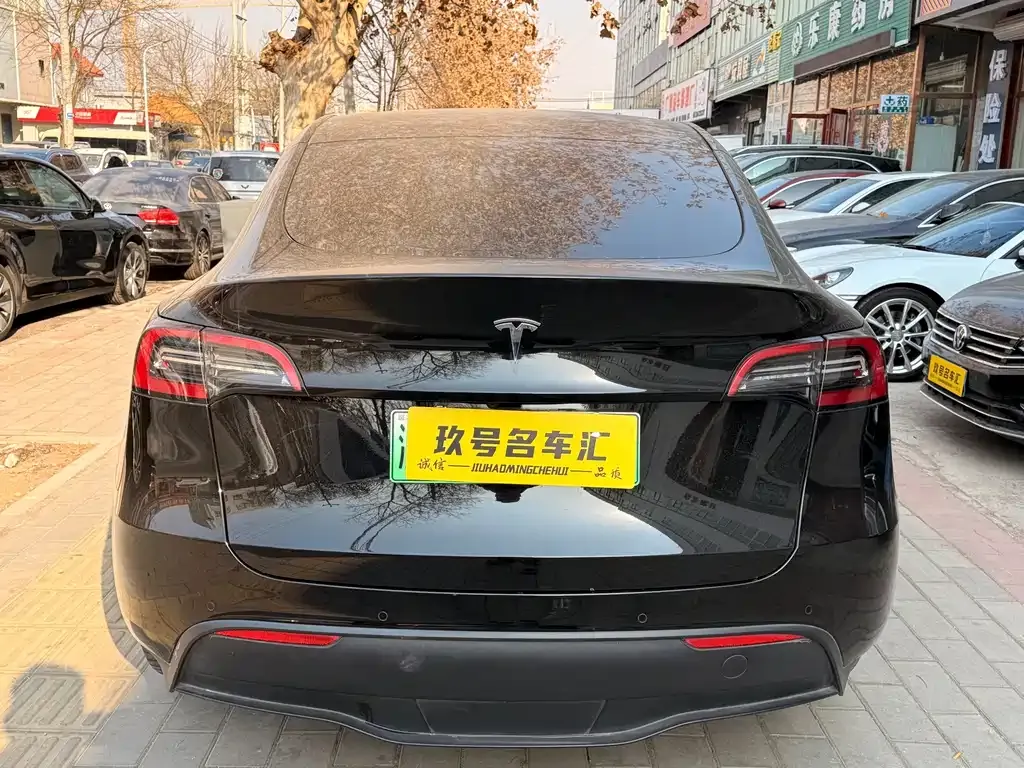 Tesla Model Y 2021 из CN, фото 4