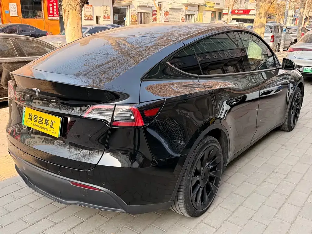 Tesla Model Y 2021 из CN, фото 6