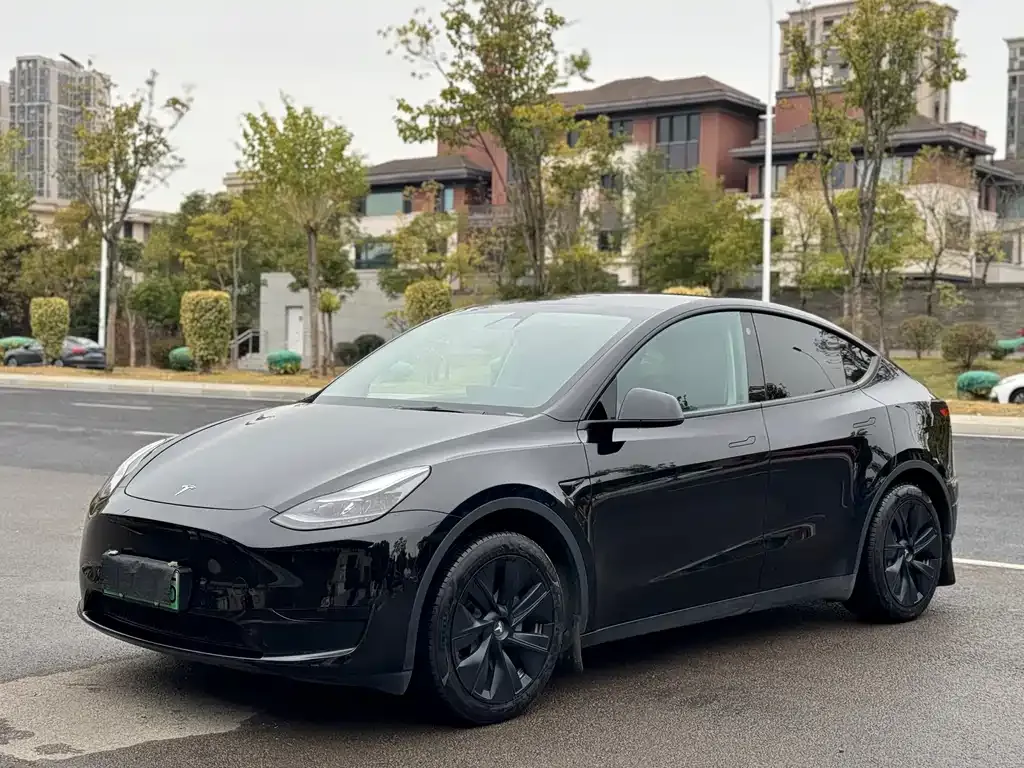 Tesla Model Y 2023 из CN, фото 1