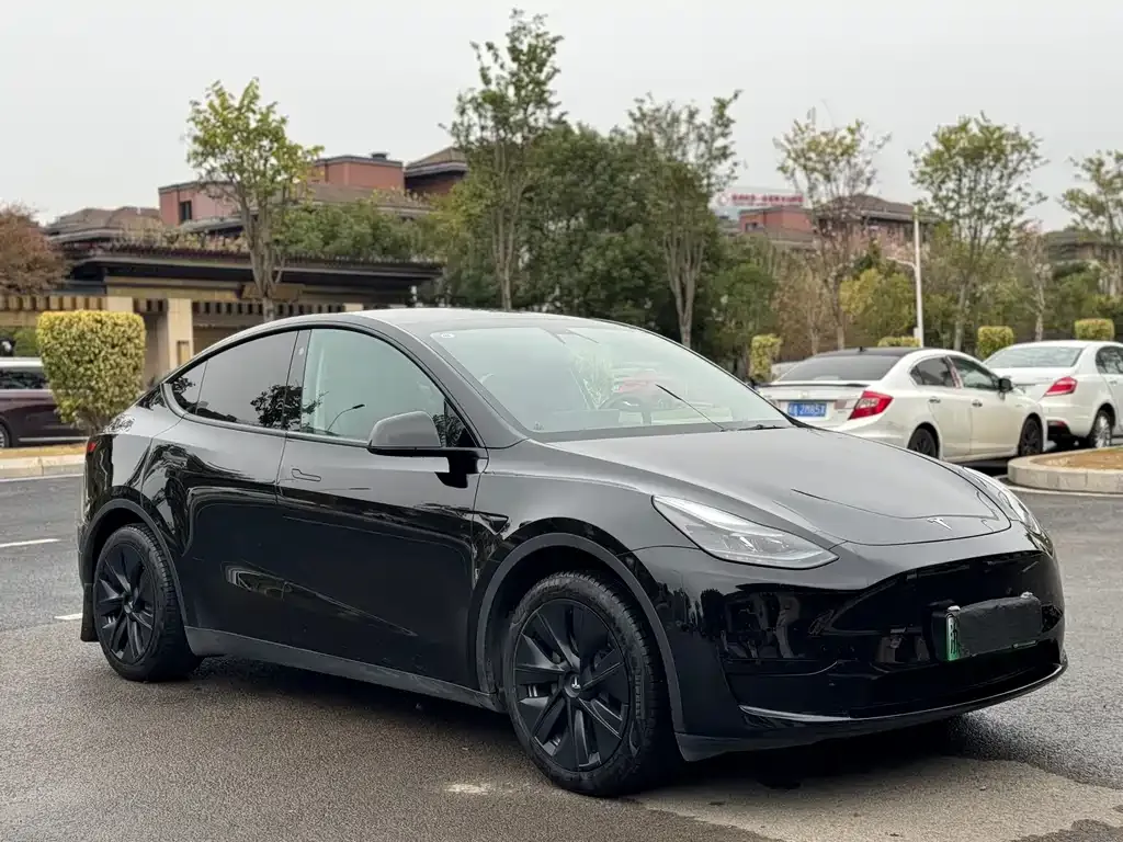 Tesla Model Y 2023 из CN, фото 10