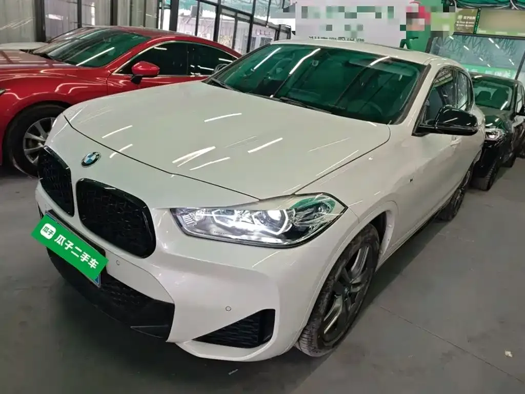 BMW X2 2023 из CN, фото 4