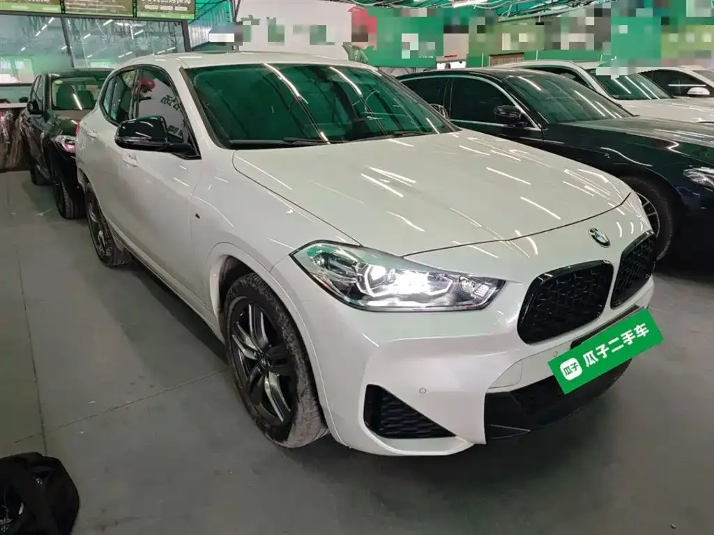 BMW X2 2023 из CN, фото 9
