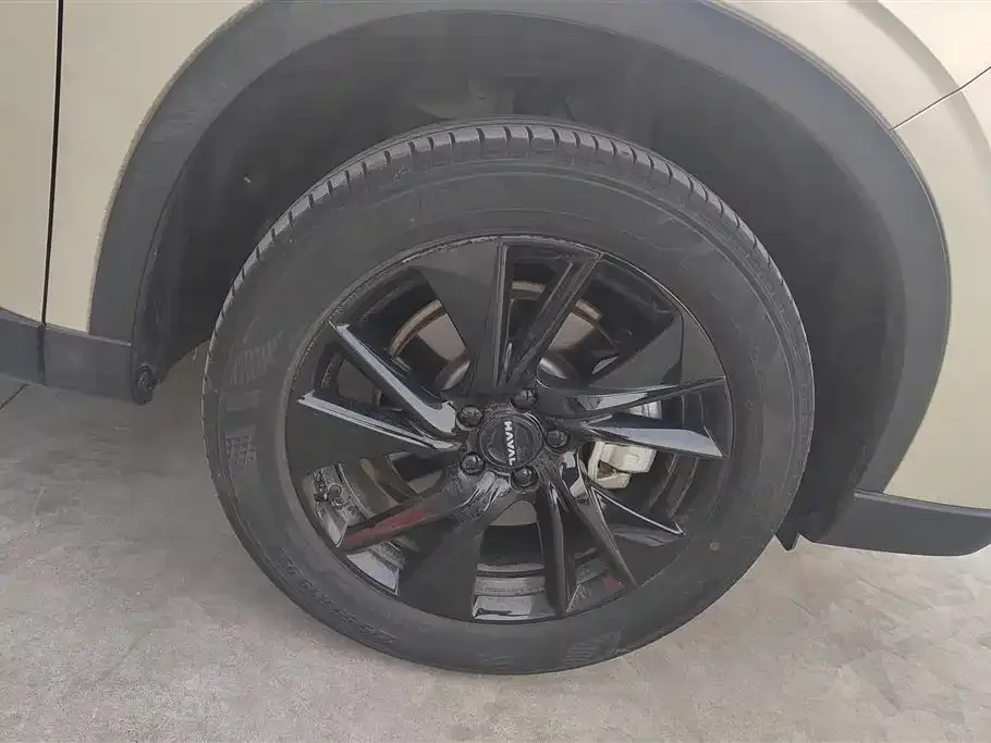Haval H6 2024 из CN, фото 4
