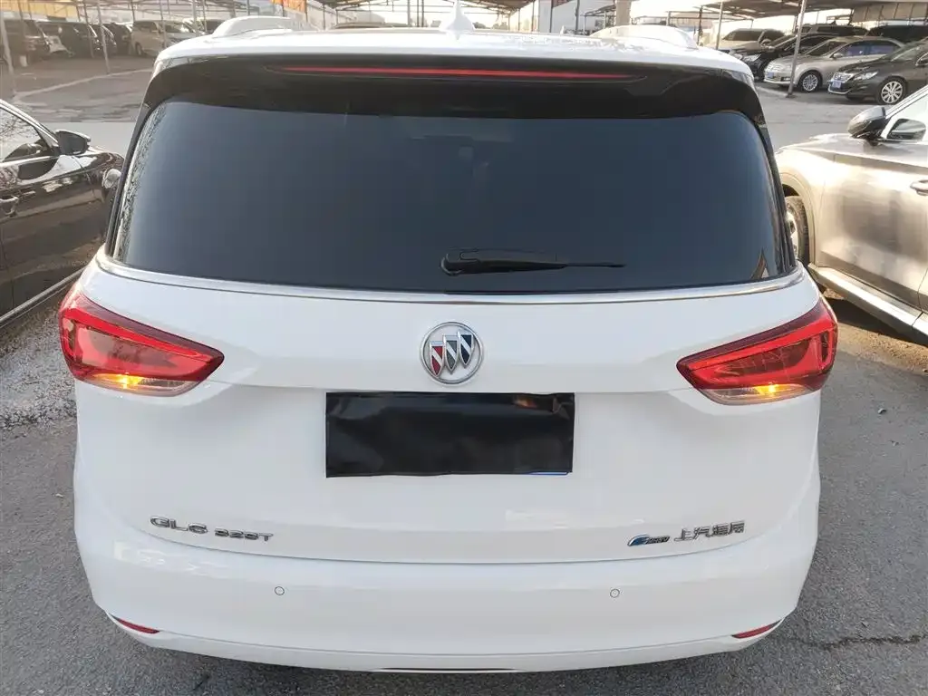 Buick GL6 2022 из CN, фото 6