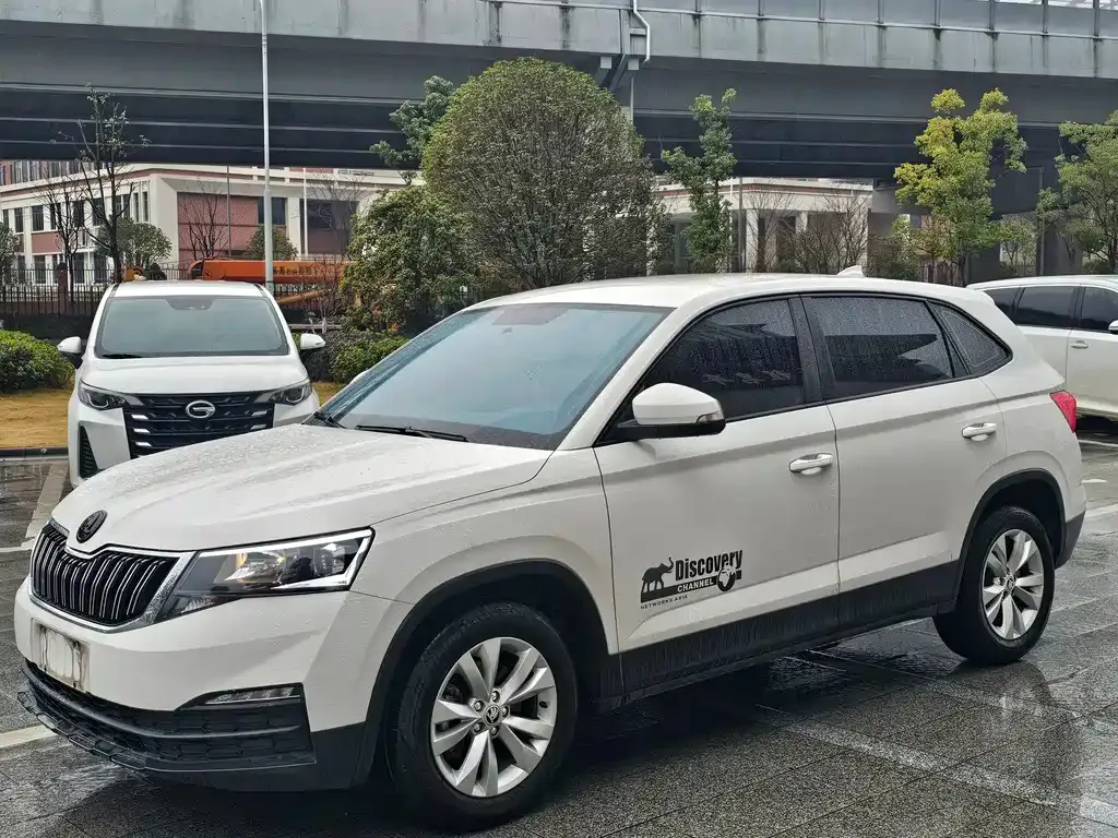 Skoda Kamiq 2021 из CN, фото 1