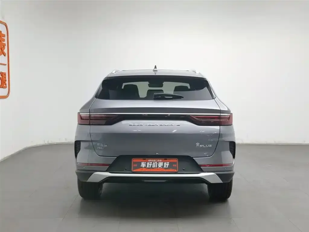 BYD PLUS New Energy 2022 из CN, фото 4
