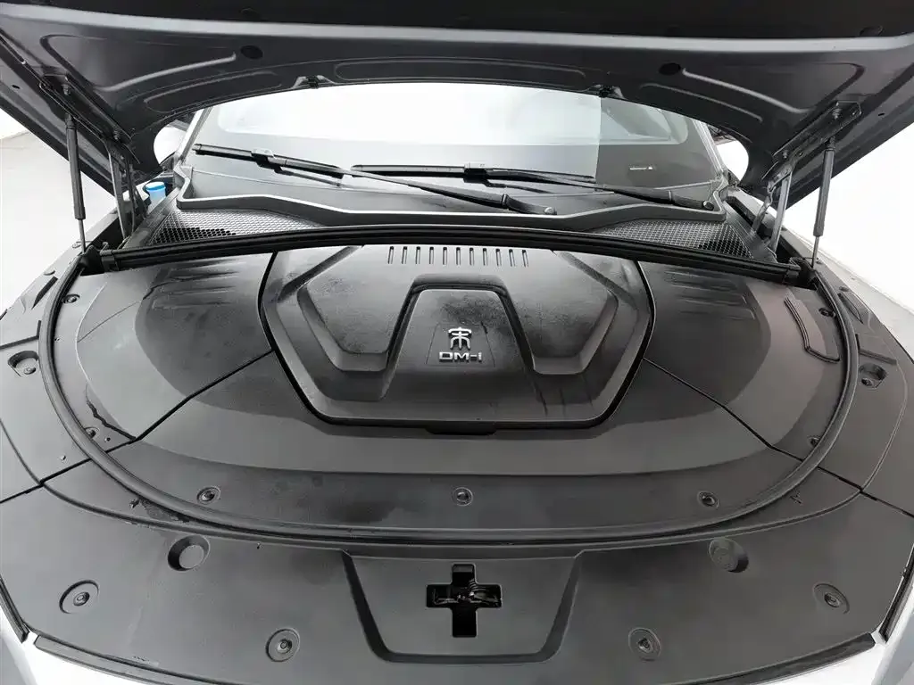 BYD PLUS New Energy 2022 из CN, фото 8