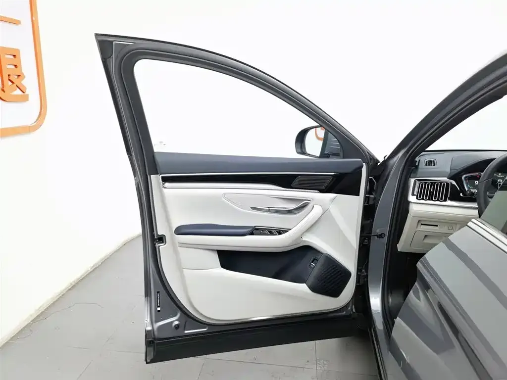BYD PLUS New Energy 2022 из CN, фото 3