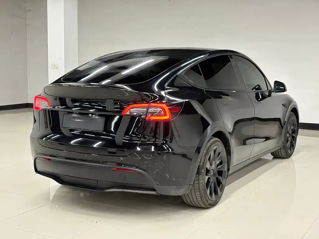 Tesla Model Y 2023 из CN, фото 4