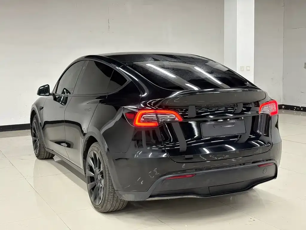 Tesla Model Y 2023 из CN, фото 2