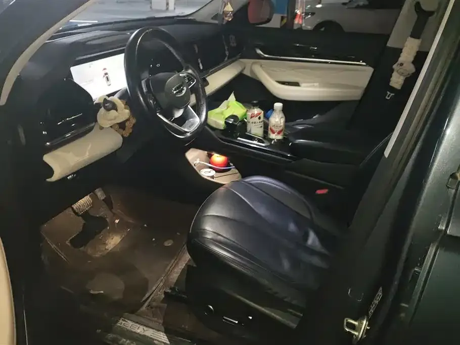 Geely Xingyue L 2023 из CN, фото 5