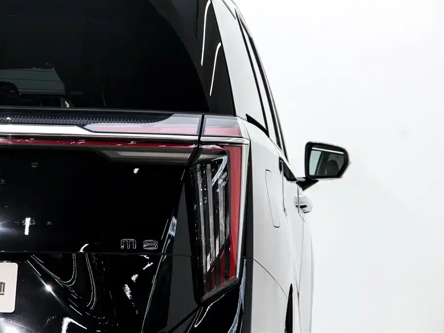 GAC Motor Trumpchi M8 2023 из CN, фото 8