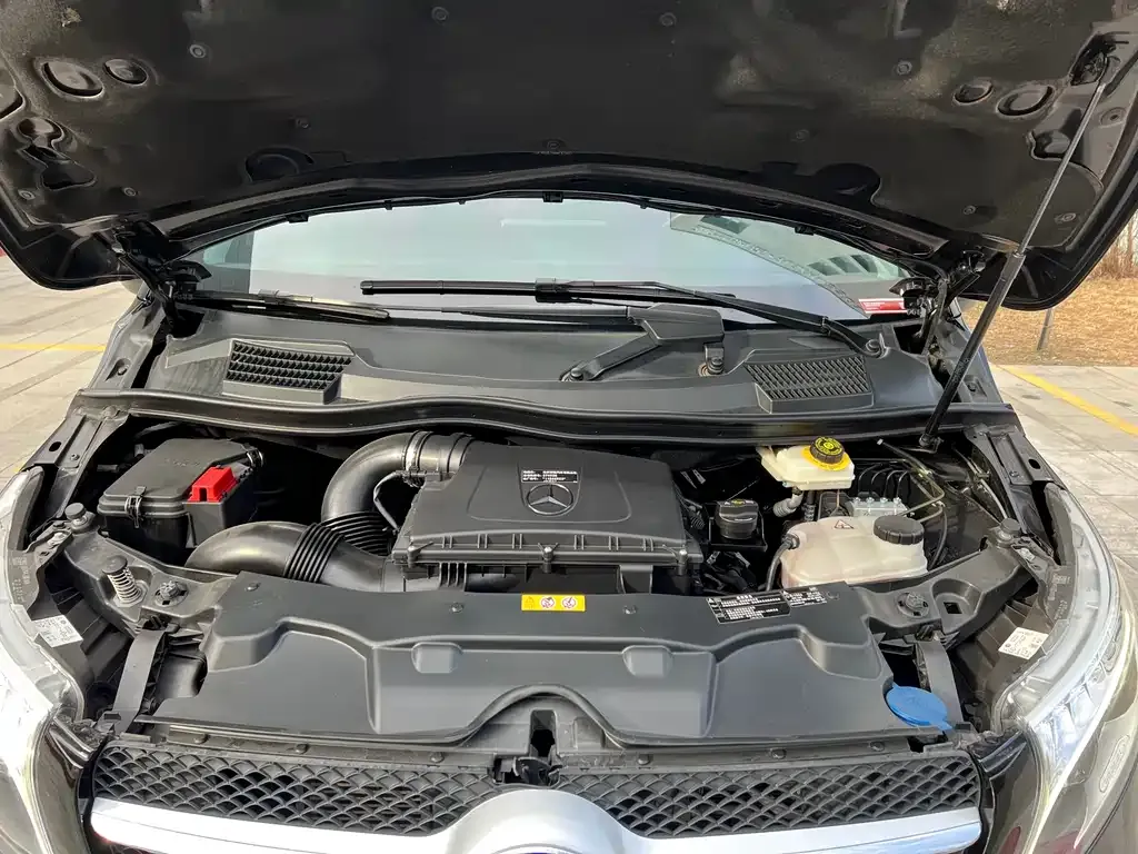 Mercedes-Benz V-Class 2021 из CN, фото 7