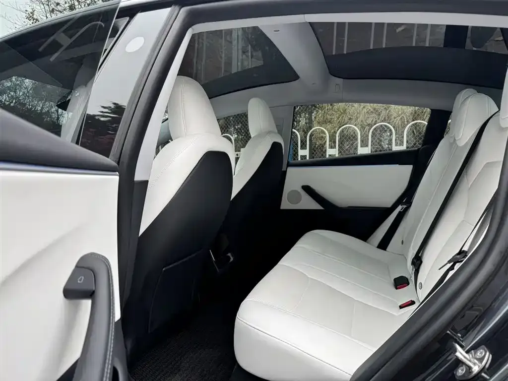 Tesla Model 3 2024 из CN, фото 8