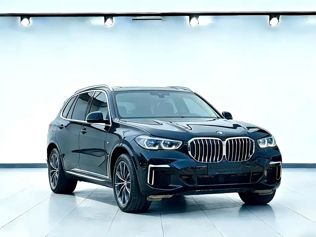 BMW X5 — фото 8