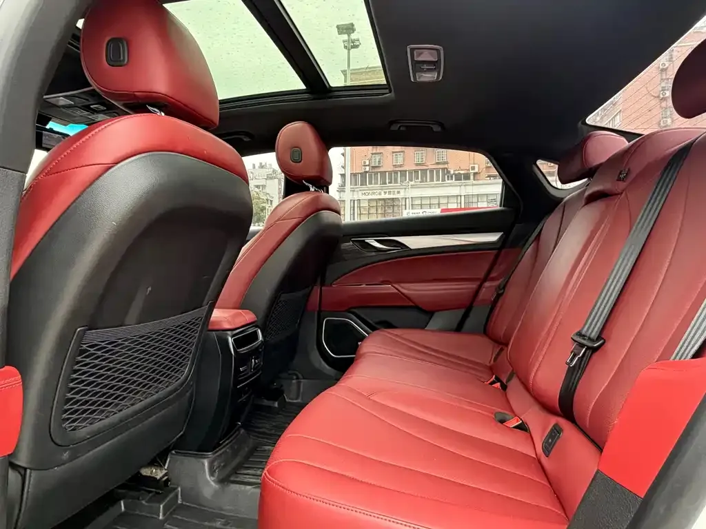 Geely Borui 2022 из CN, фото 2