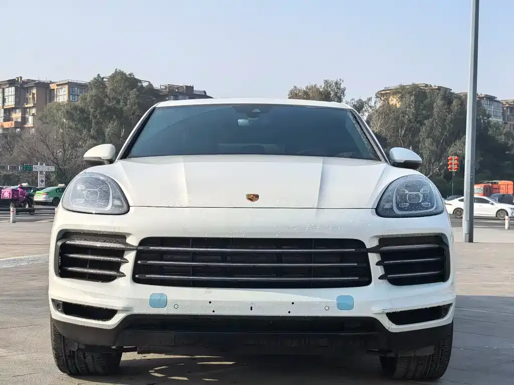 Porsche Cayenne 2021 из CN, фото 6