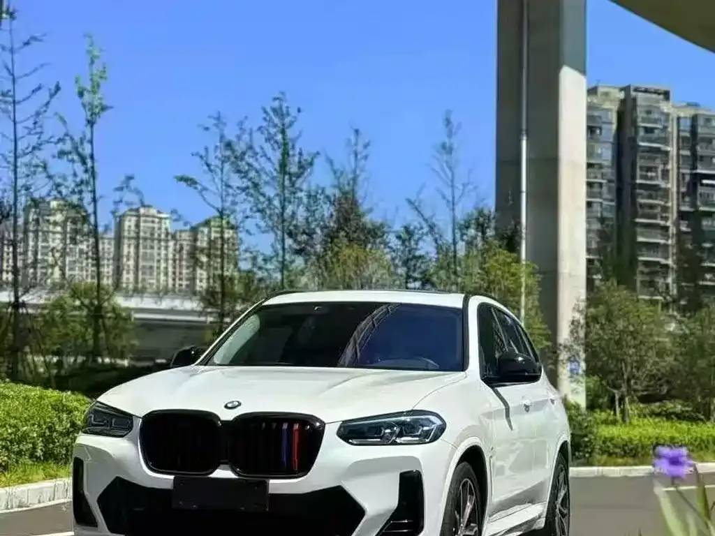 BMW X3 2022 из CN, фото 6