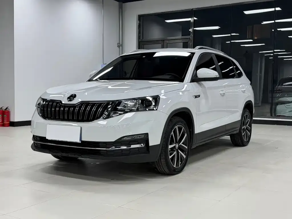 Skoda Kamiq 2022 из CN, фото 1