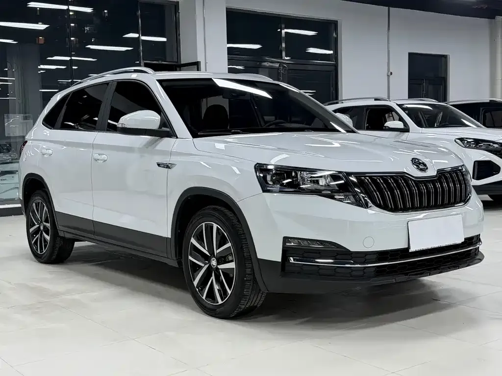 Skoda Kamiq 2022 из CN, фото 7